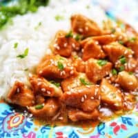 closeup plate of honey garlic chicken and rice