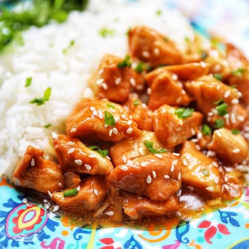 closeup plate of honey garlic chicken and rice