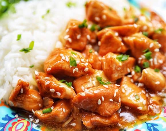 closeup plate of honey garlic chicken and rice