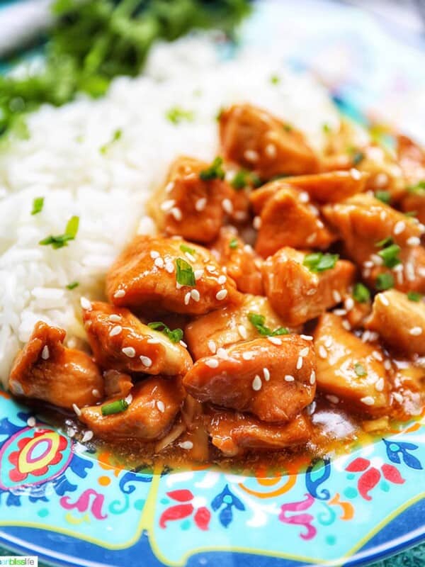 closeup plate of honey garlic chicken and rice