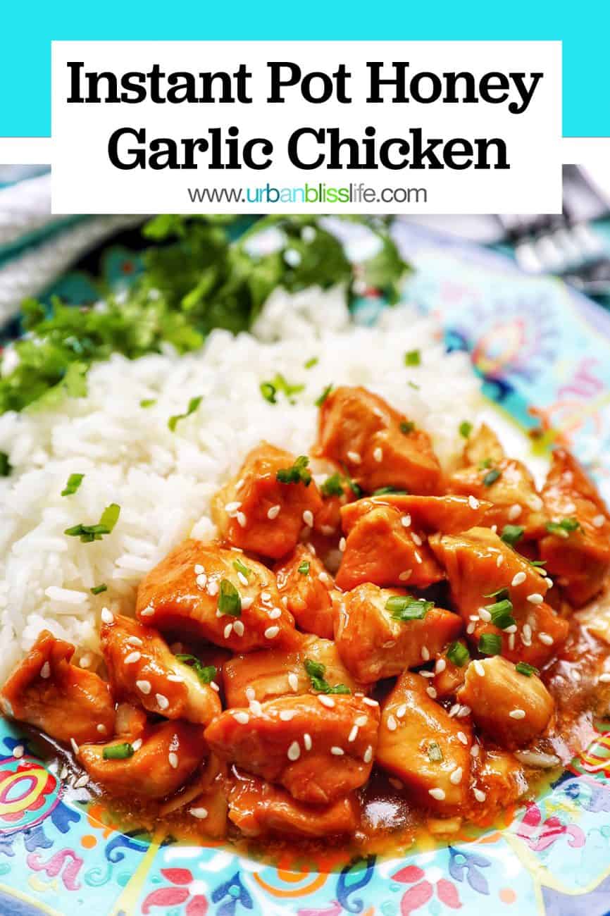 image of Instant Pot Honey Garlic Chicken with title text