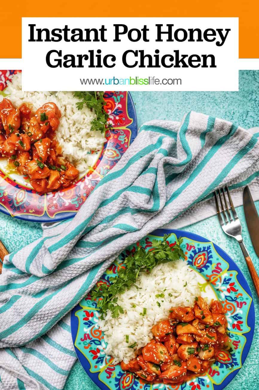 Instant Pot Honey Garlic Chicken with title text