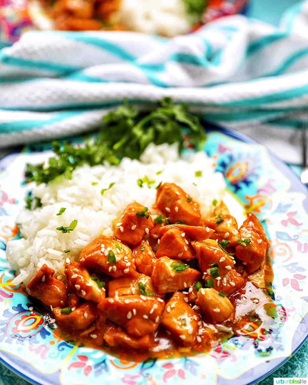 side angle photo of Instant Pot Honey Garlic Chicken and rice