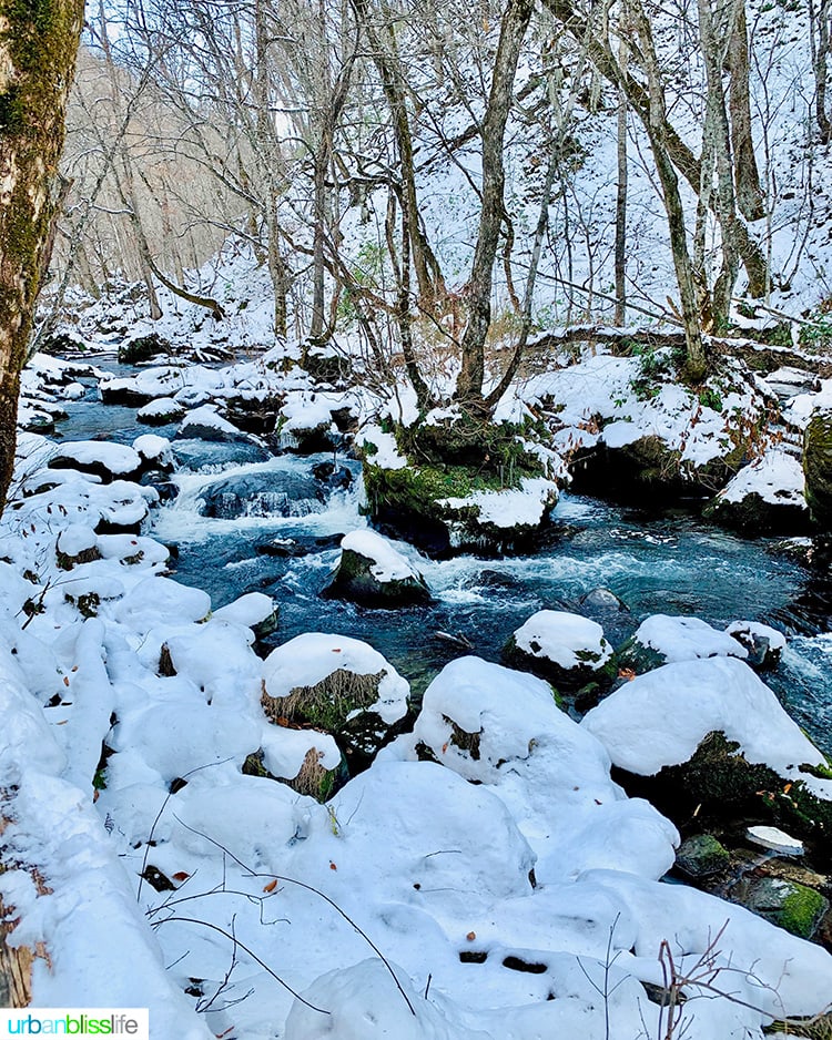 Oirase gorge japan