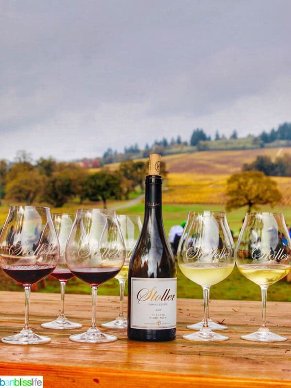 Stoller wine bottle and red and white wine glasses against vineyard backdrop