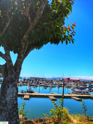 Garibaldi, Oregon marina