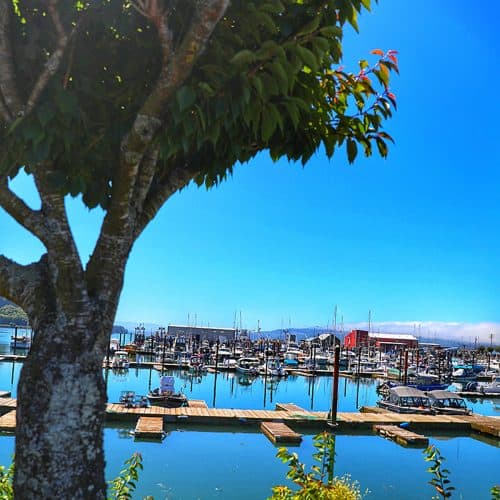 Garibaldi, Oregon marina