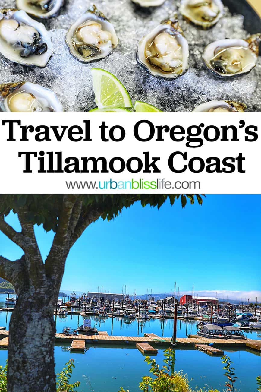 Oregon Coast travel pinterest graphic