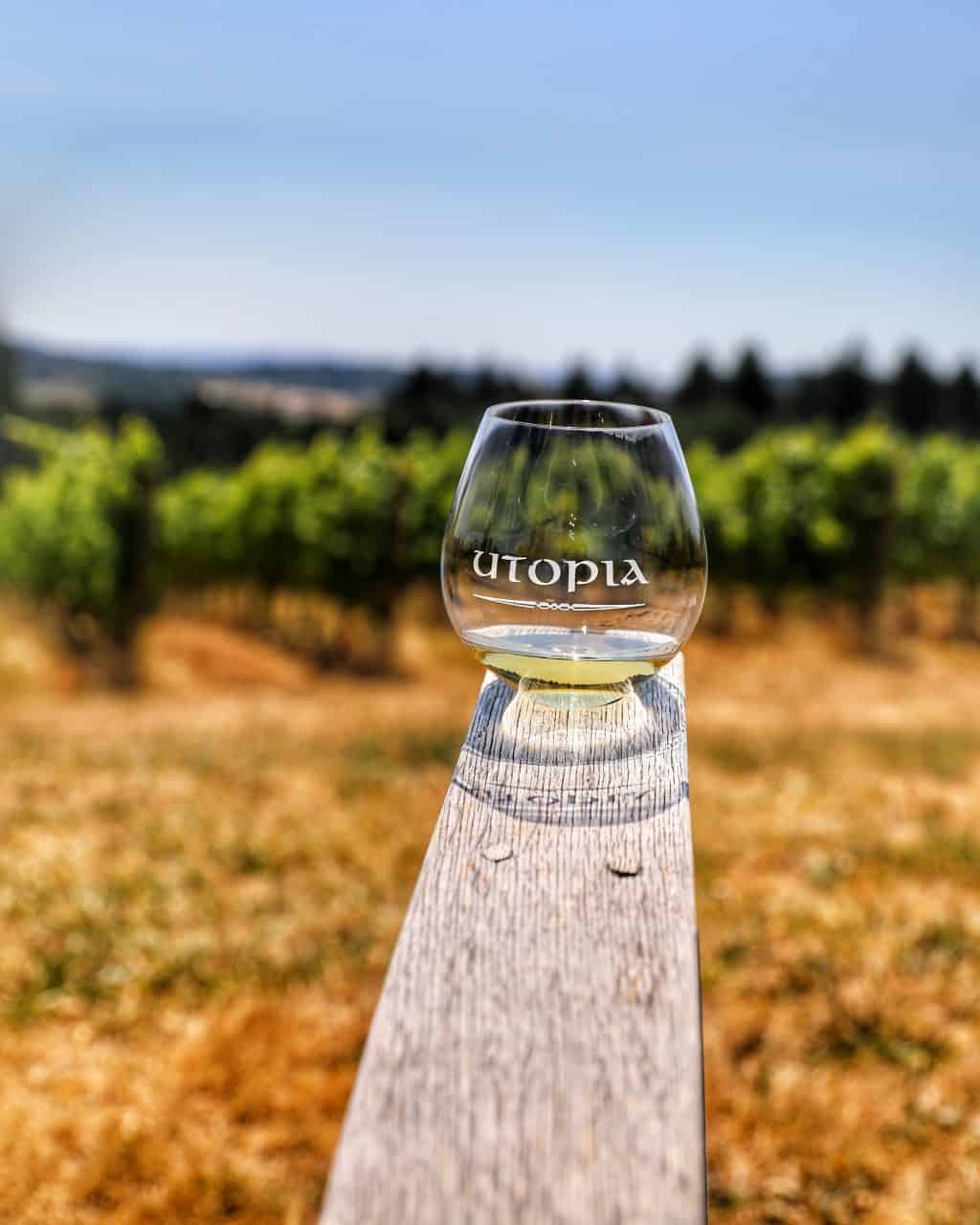 white wine at Utopia Winery with vineyard background