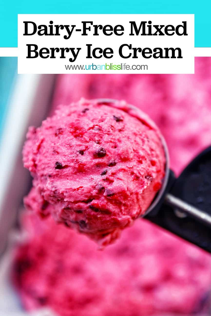 main graphic of Dairy-Free Mixed Berry Ice Cream