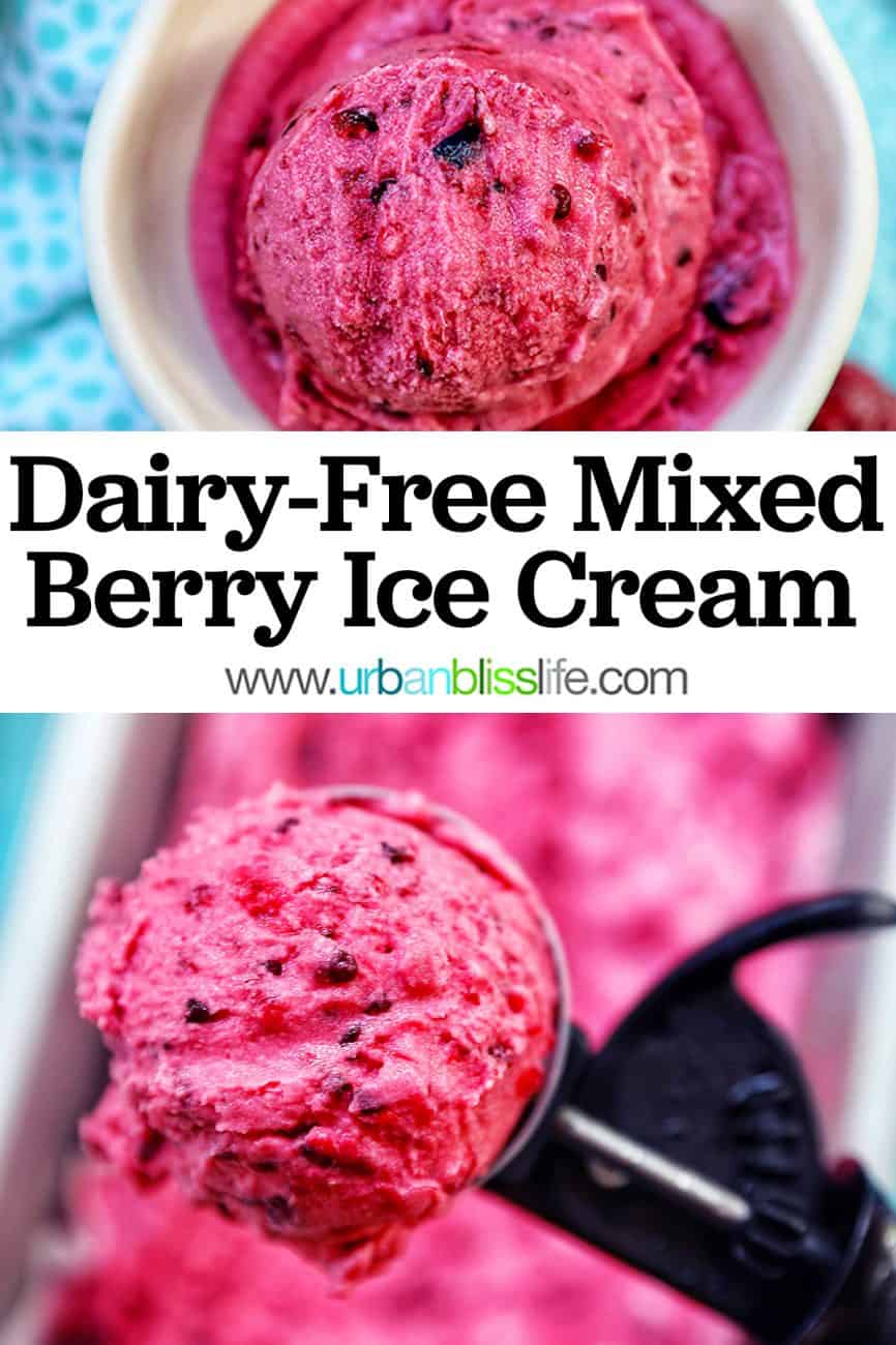 main graphic of Dairy-Free Mixed Berry Ice Cream