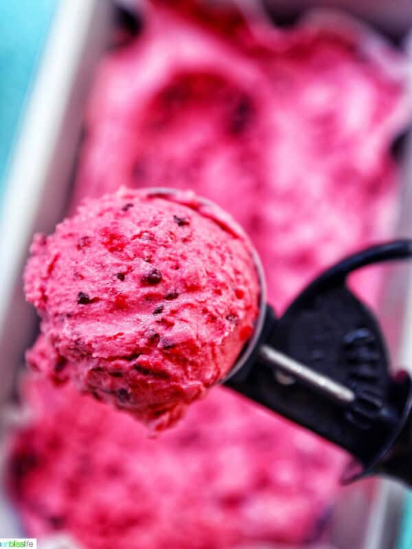 scoop of Dairy-Free Mixed Berry Ice Cream