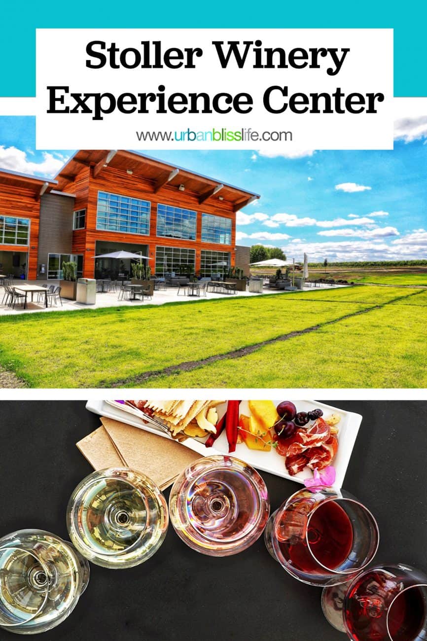 main graphic for Stoller Experience Center