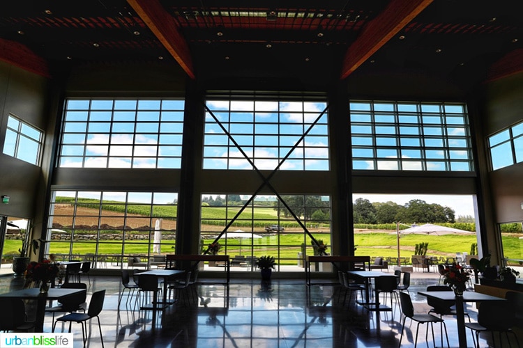inside of New Stoller Experience Center