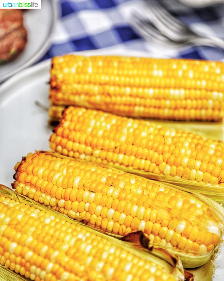 corn on the cob