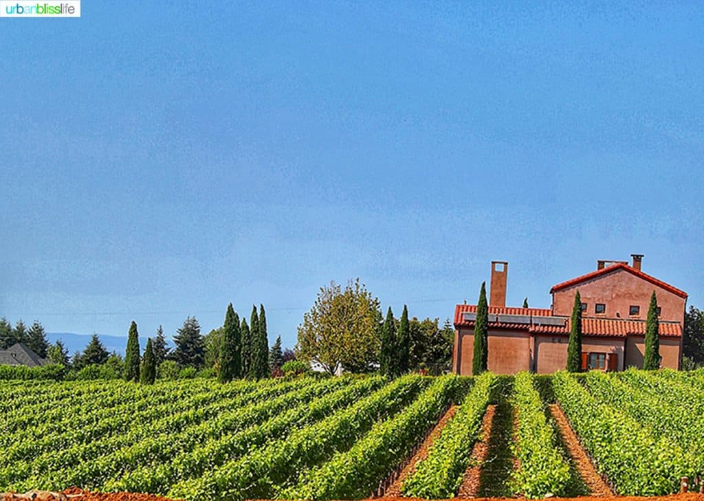 Alloro Vineyard and tasting room