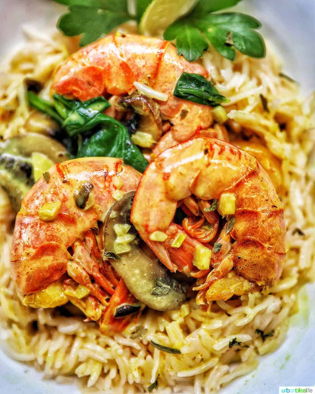 CLOSEUP Coconut Curry Shrimp and Mushrooms