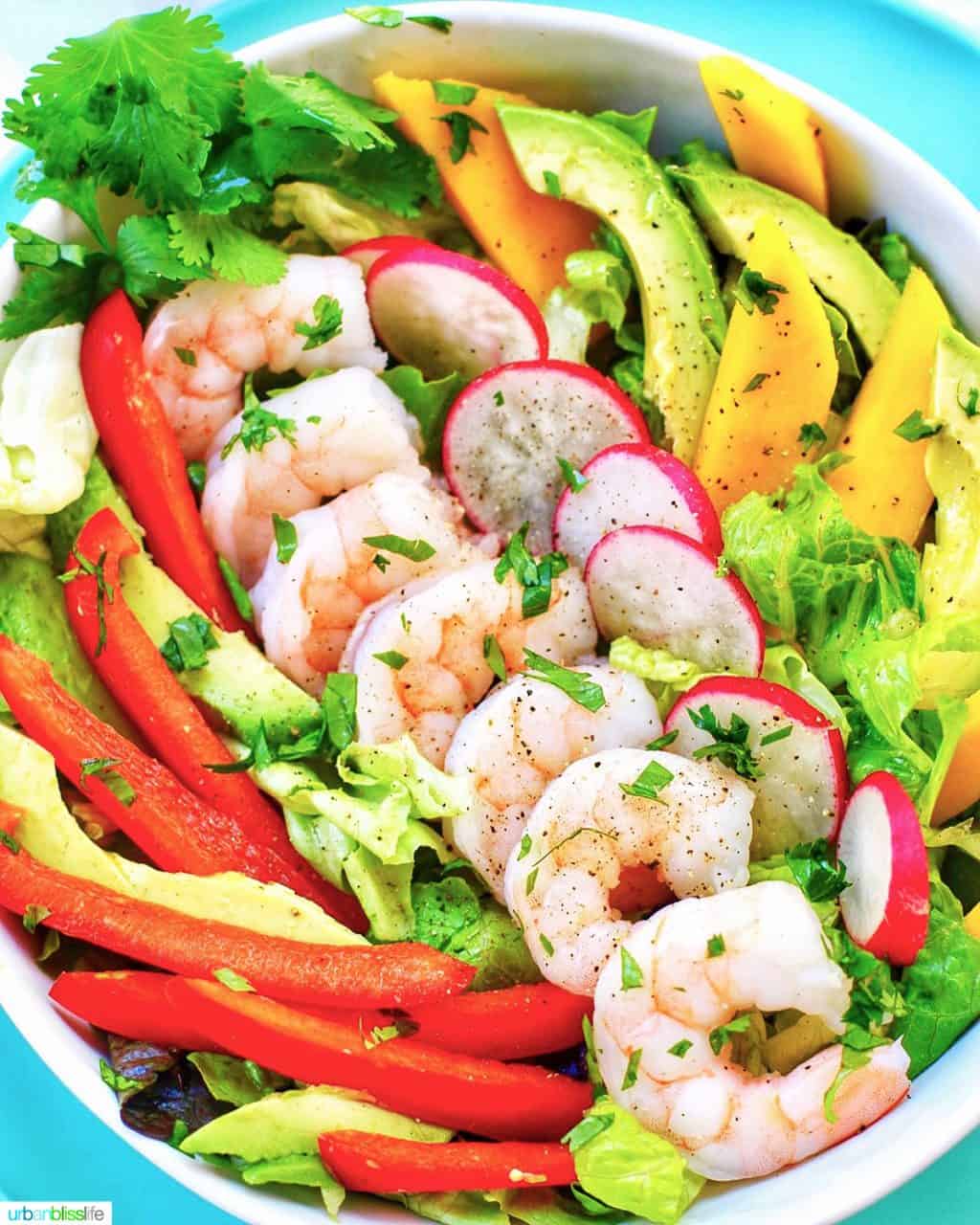 bowl of keto whole30 healthy shrimp salad