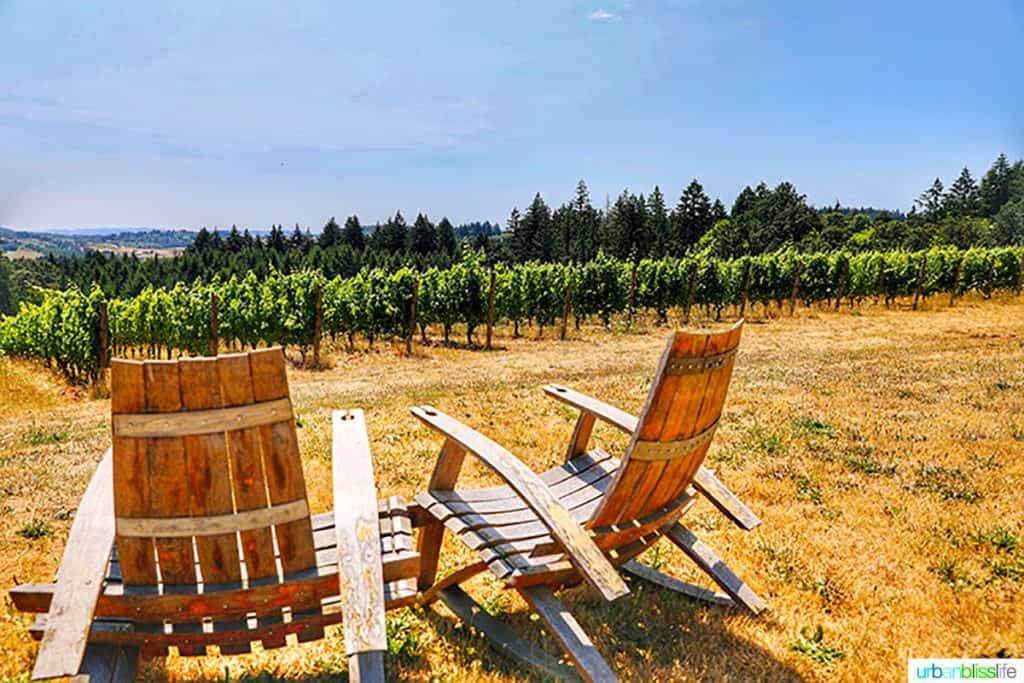 Utopia Vineyard adirondack chairs facing vineyard