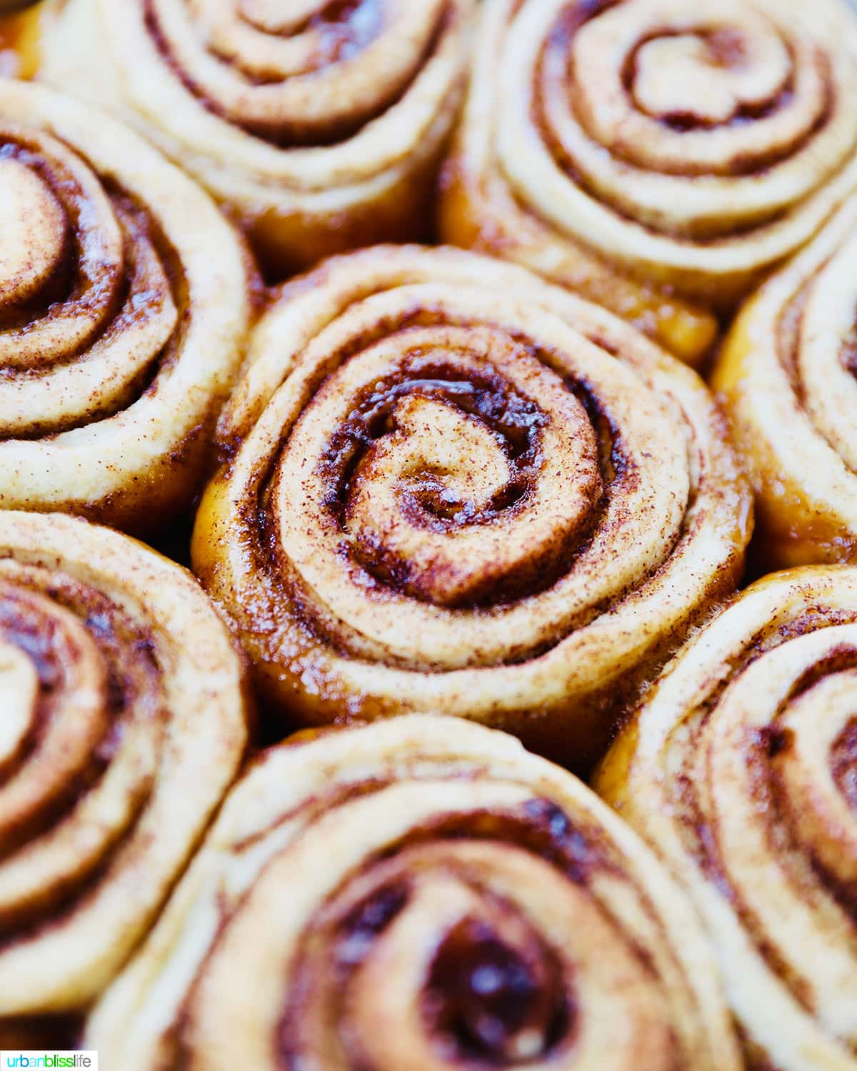 closeup of freshly baked orange cinnamon rolls without icing.