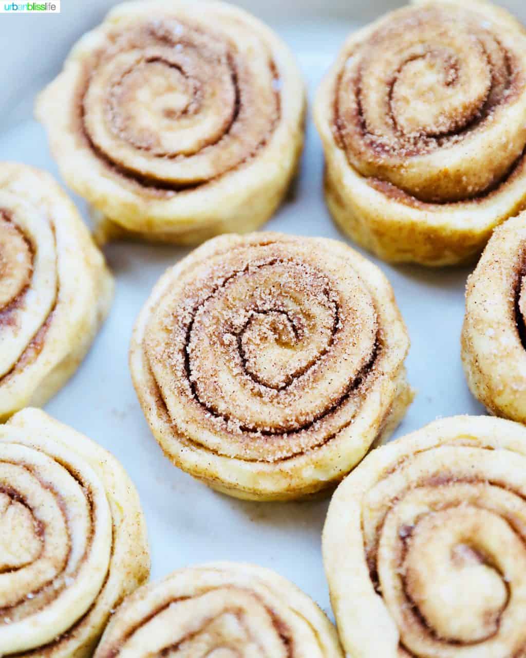formed and sugared orange cinnamon roll dough ready to bake