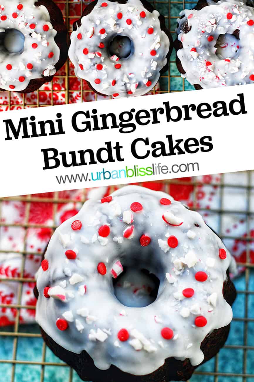six mini gingerbread bundt cakes with title text
