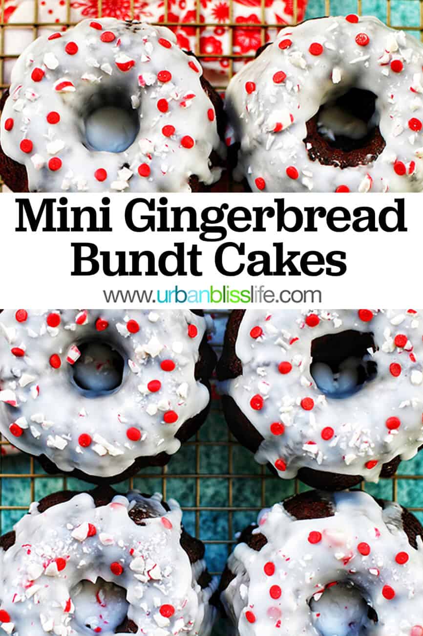 six mini gingerbread bundt cakes with title text