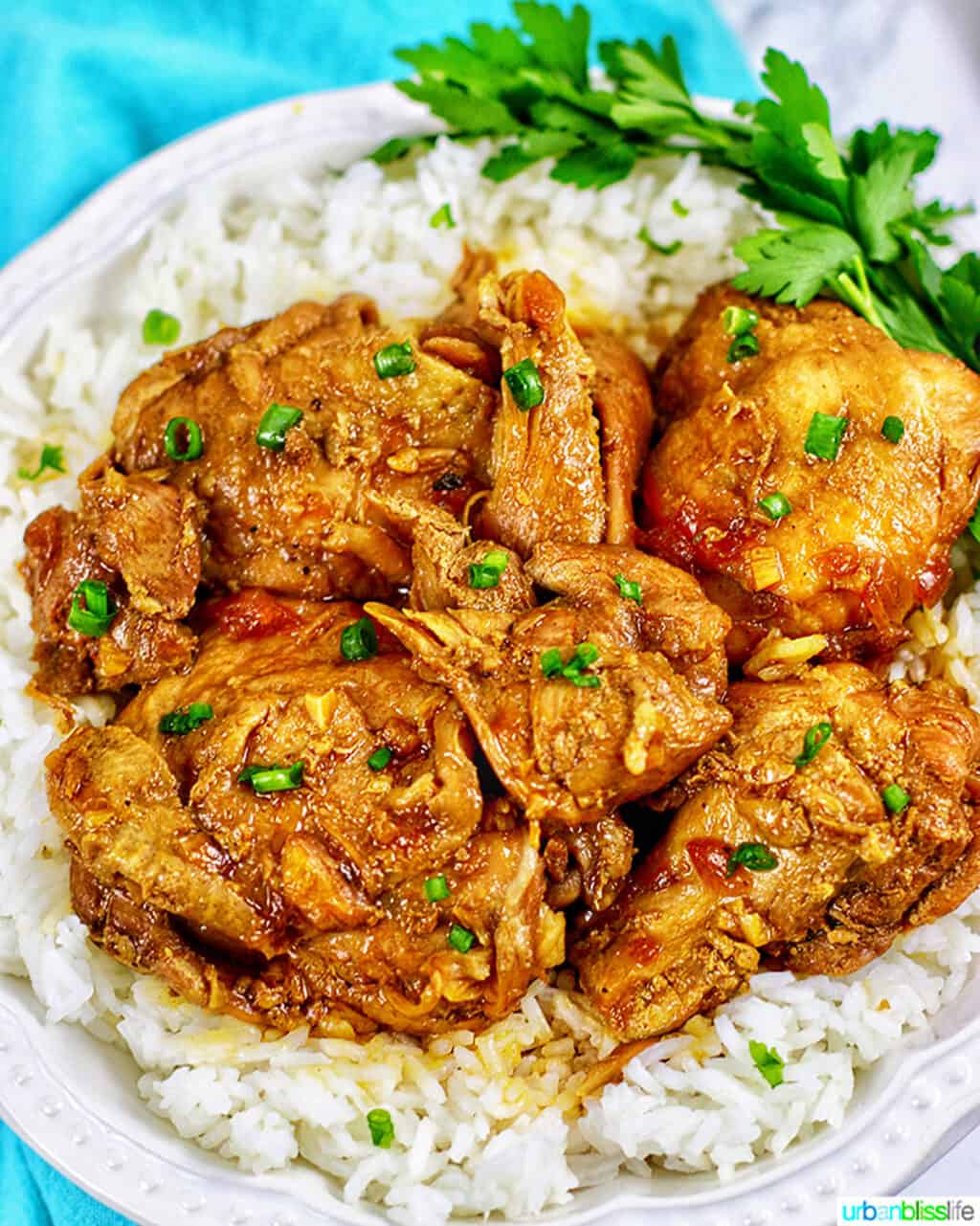 Filipino Chicken Adobo over rice, made in Instant Pot, Ninja Foodi, slow cooker