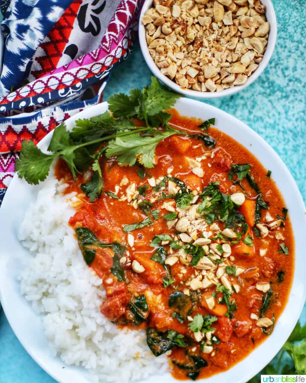 closeup of Ninja Foodi African Peanut Stew