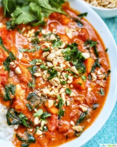 closeup of Ninja Foodi African Peanut Stew
