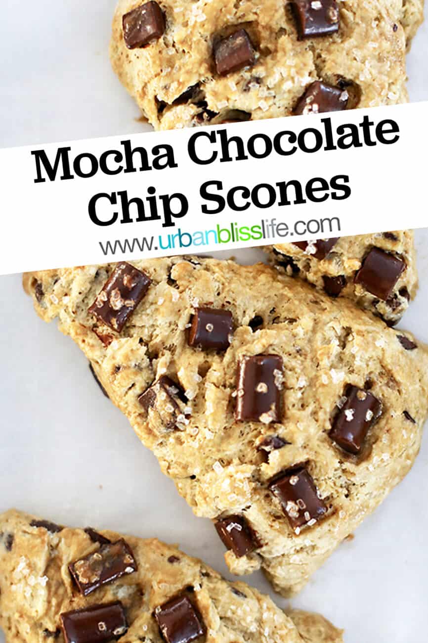 mocha chocolate chip scones with title text