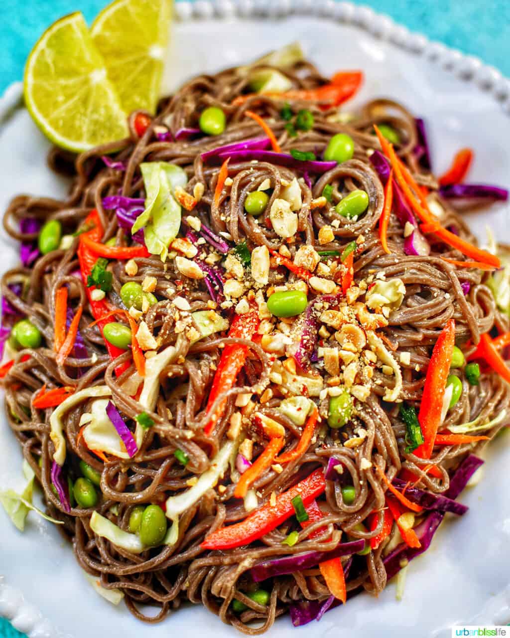 Soba Noodles with vegetables and peanuts on a white plate