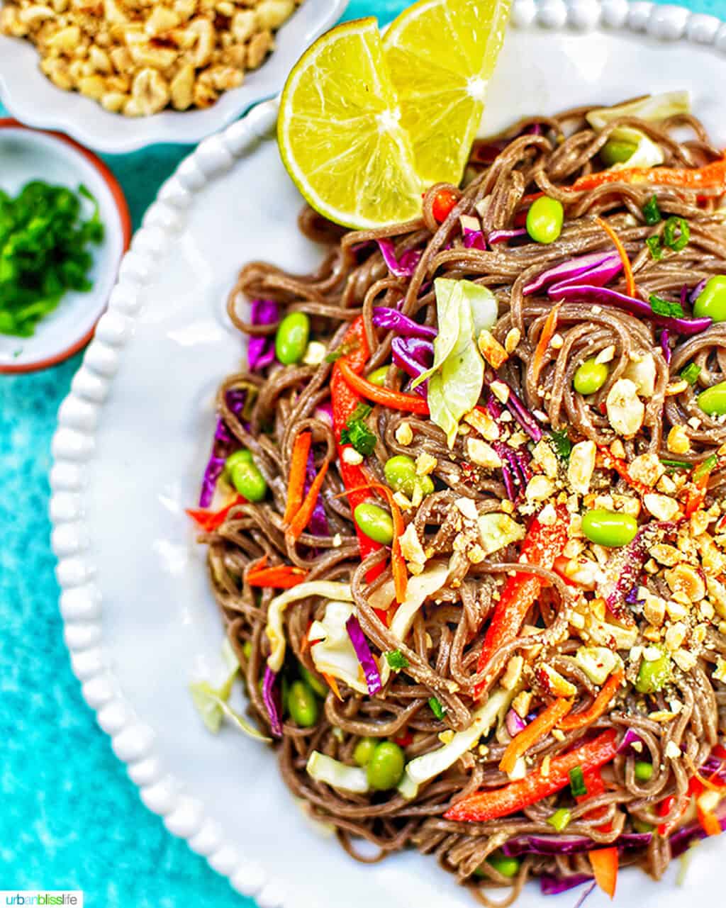 Soba Noodles with colorful vegetables and peanuts on a white plate with lime slices.