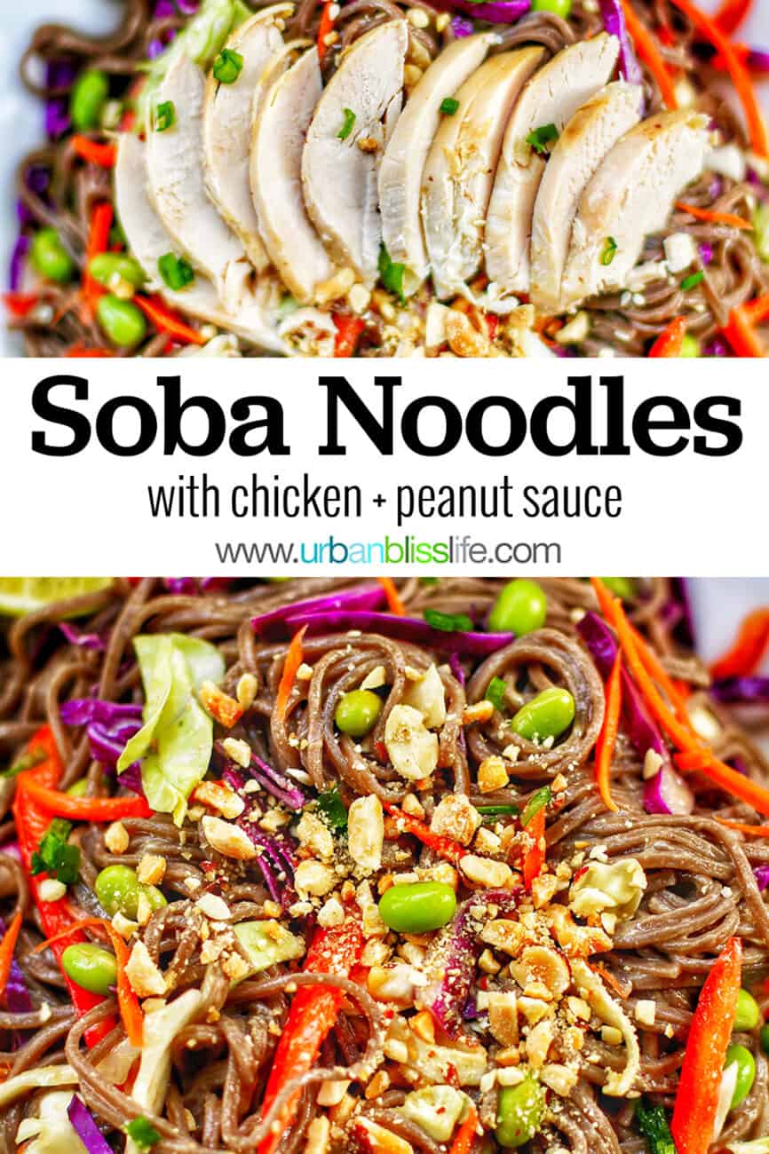 Soba Noodles with title text