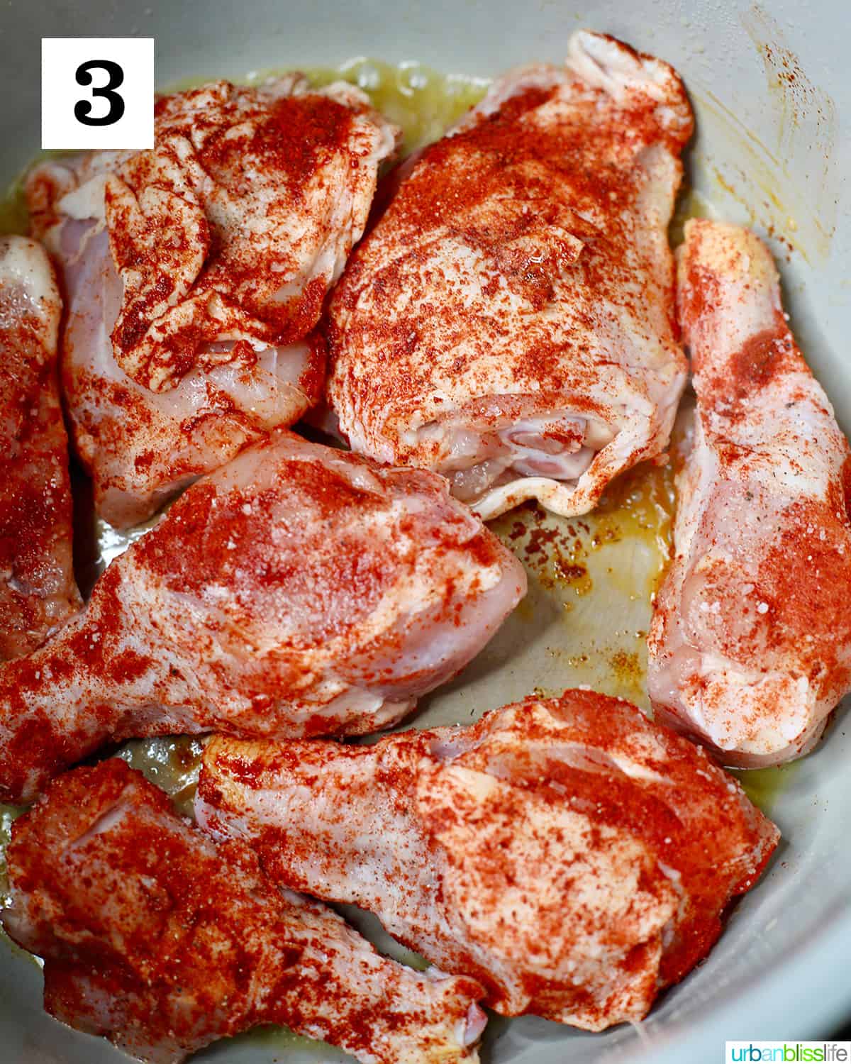 seasoned chicken in an instant pot.