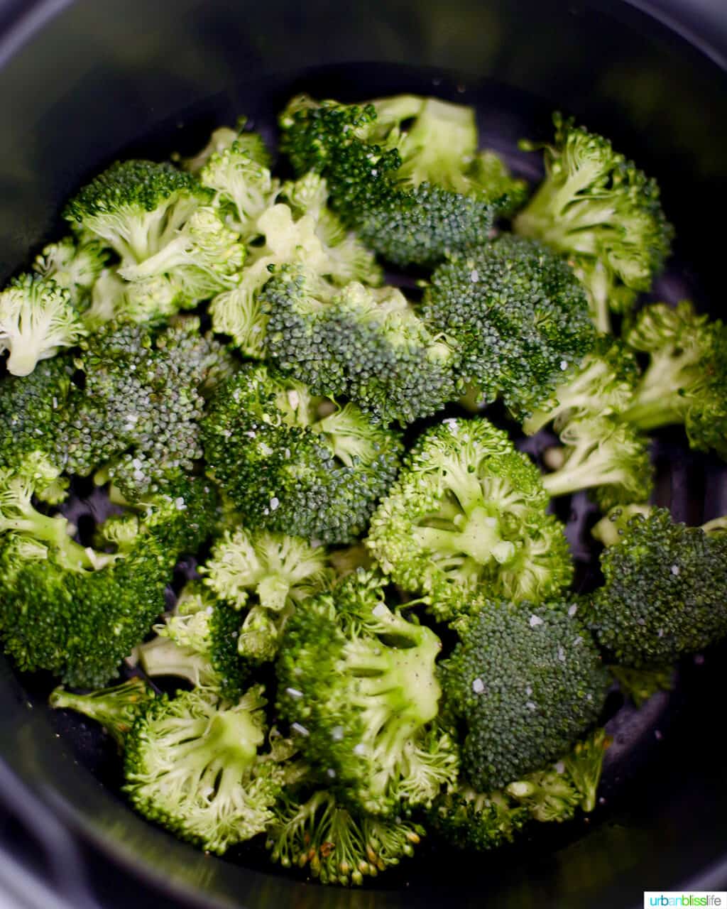 broccoli in the Ninja Foodi