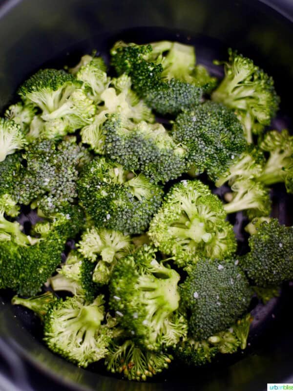 broccoli in the Ninja Foodi