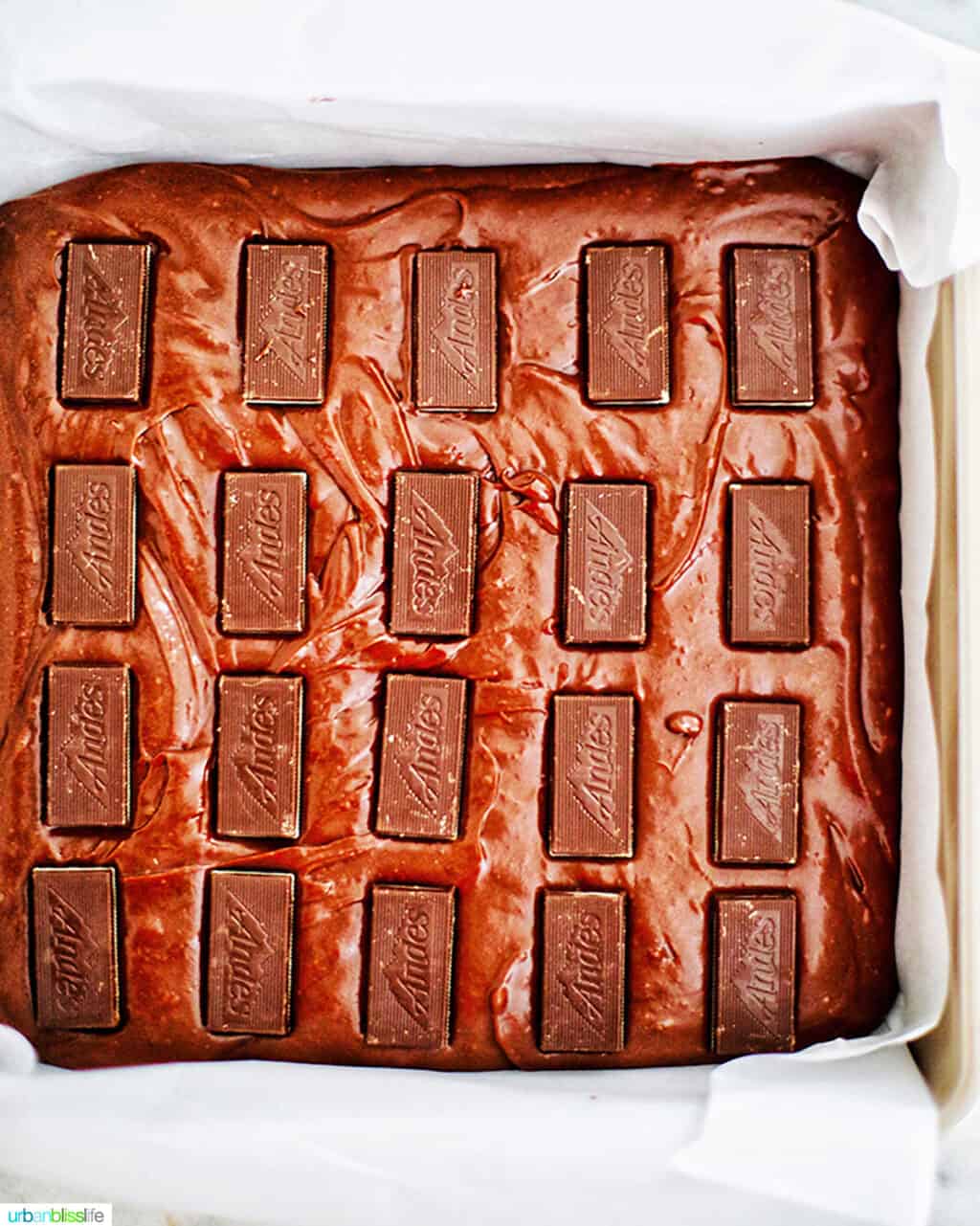 andes mints in brownie batter
