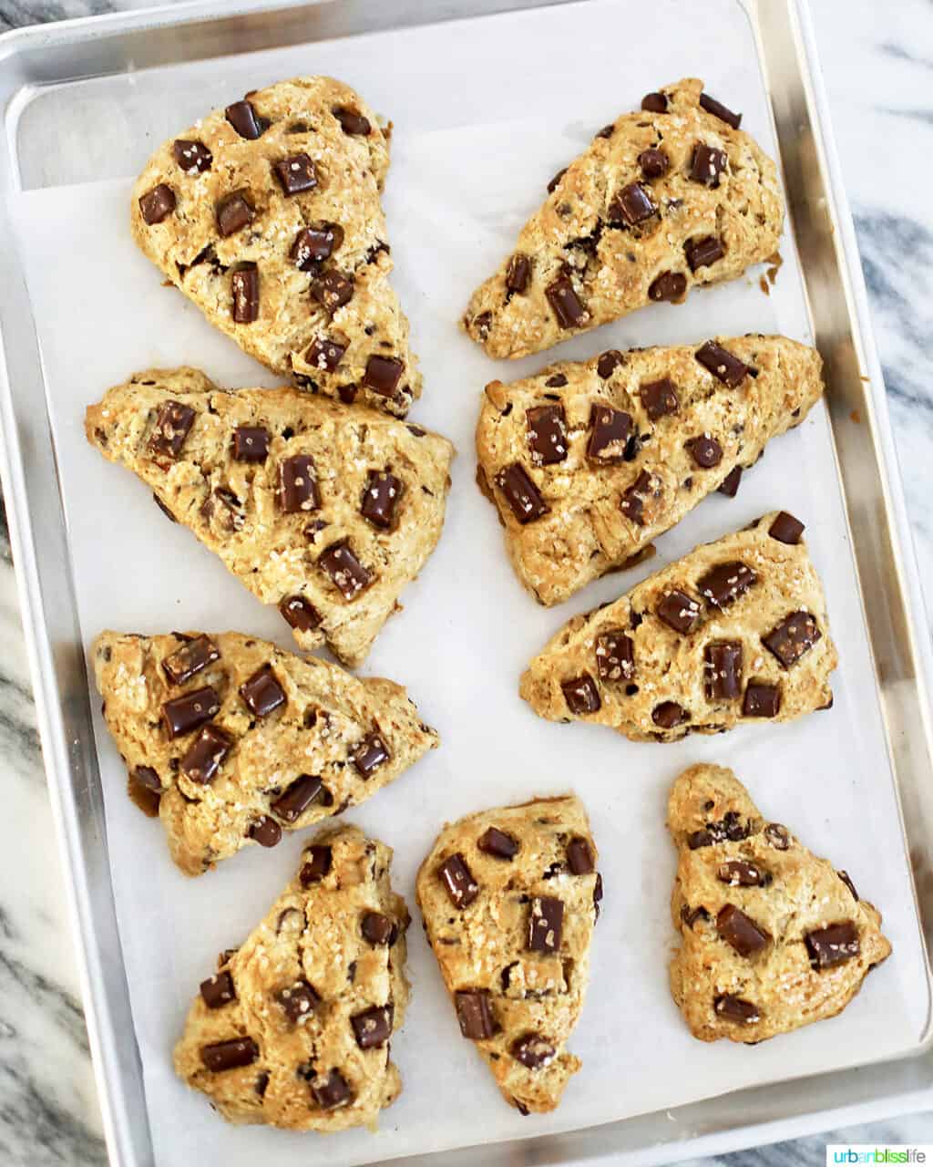 baking sheet full of mocha chocolate chip scones 