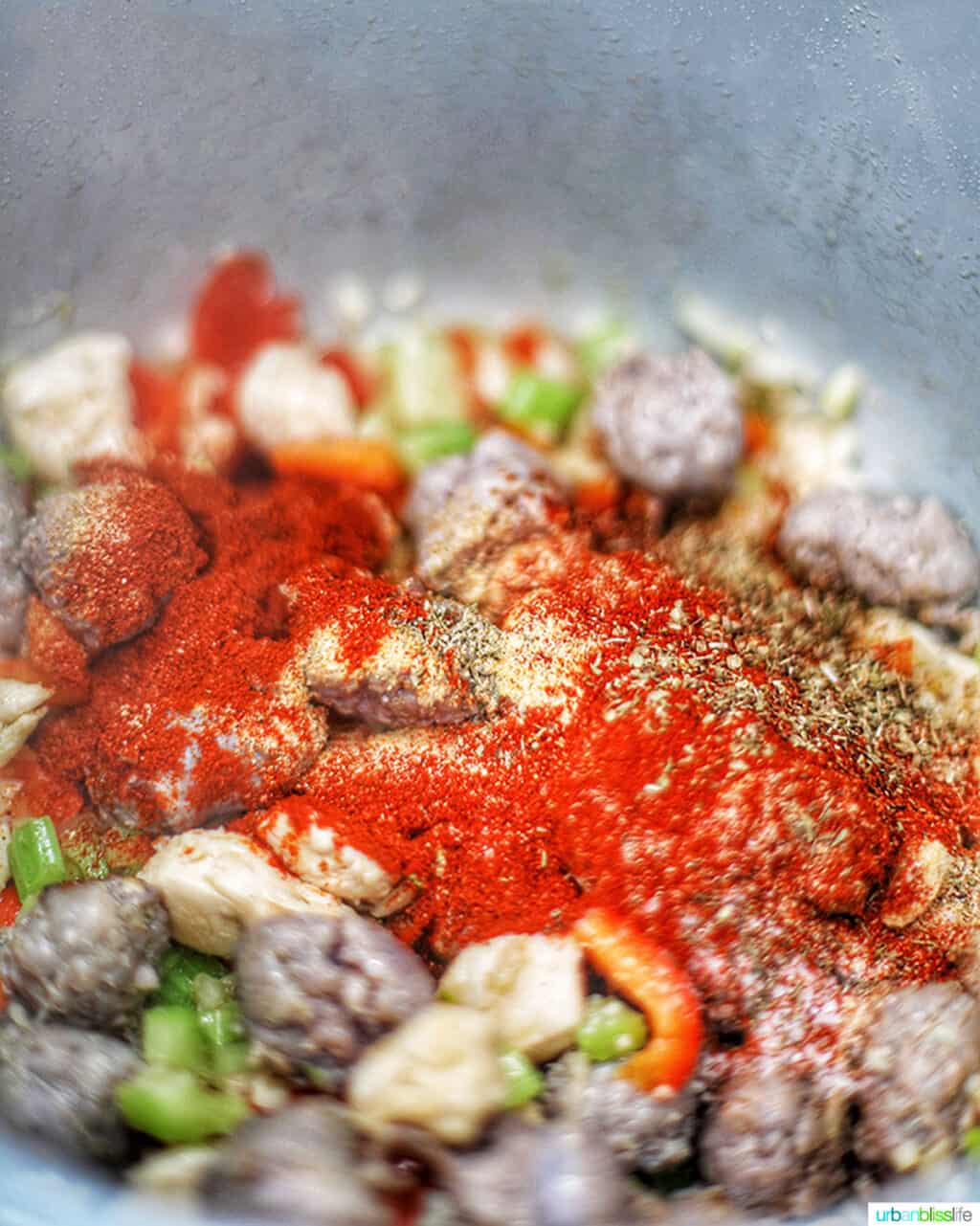 spices on top of Ninja Foodi Cajun Chicken Pasta