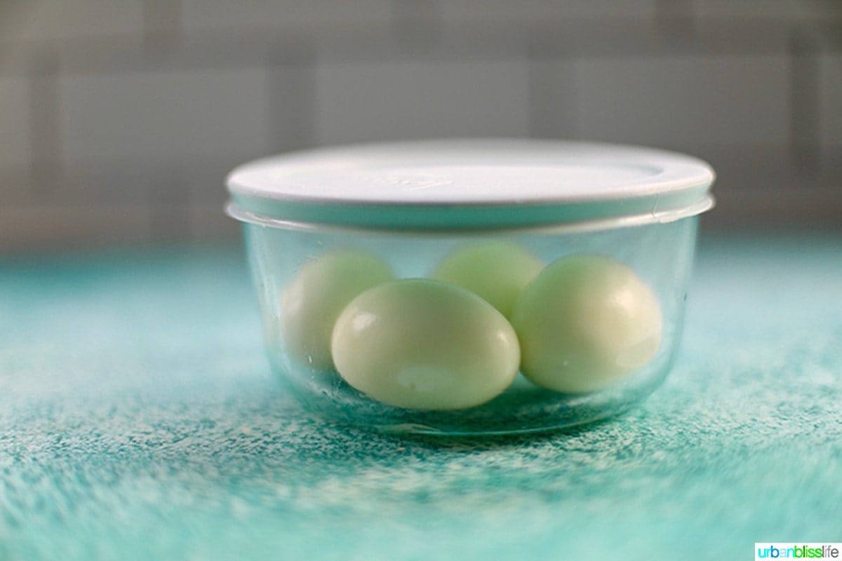 eggs in a storage container
