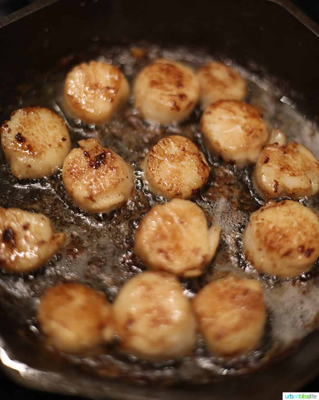 searing sea scallops in a skillet