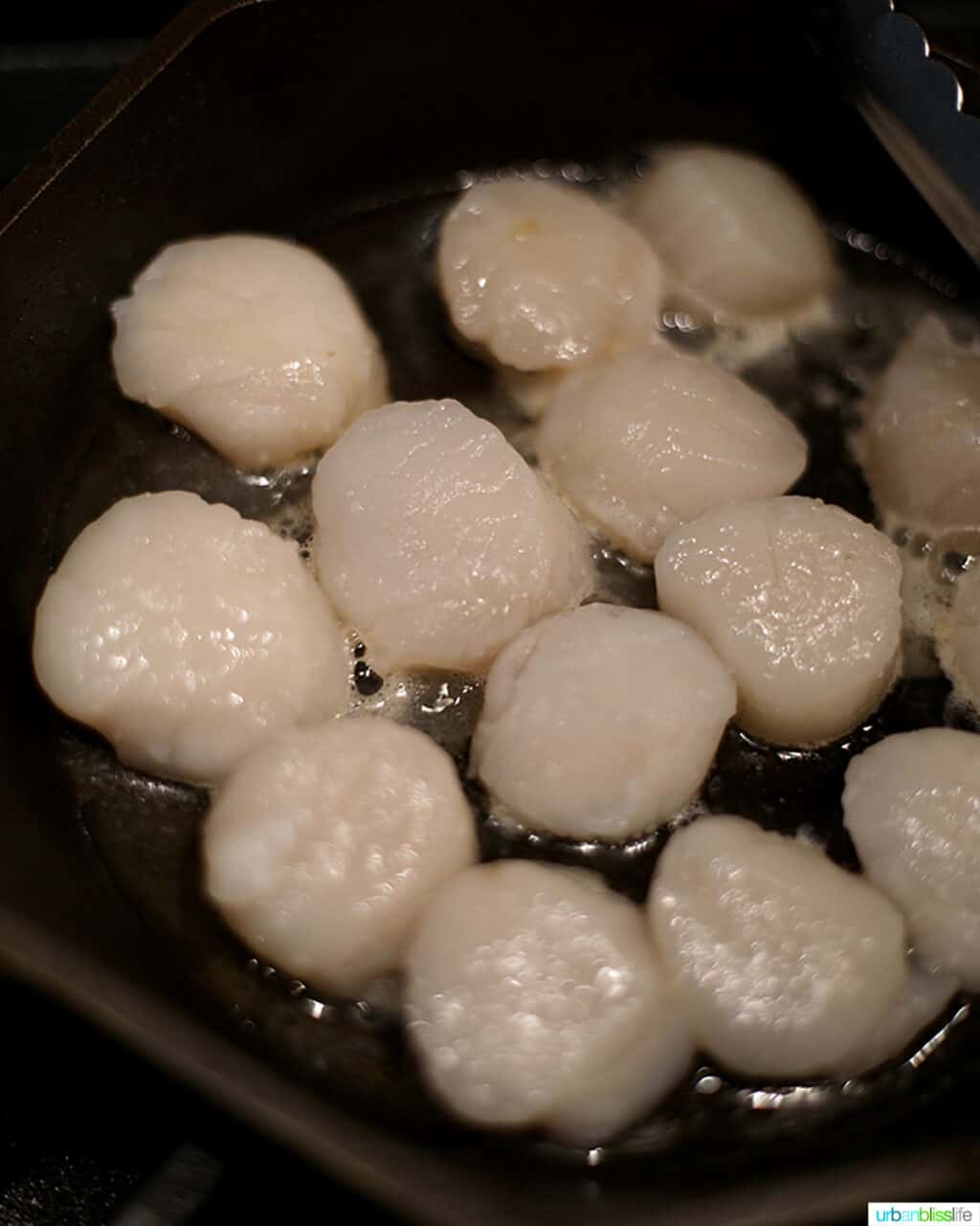 sea scallops in skillet