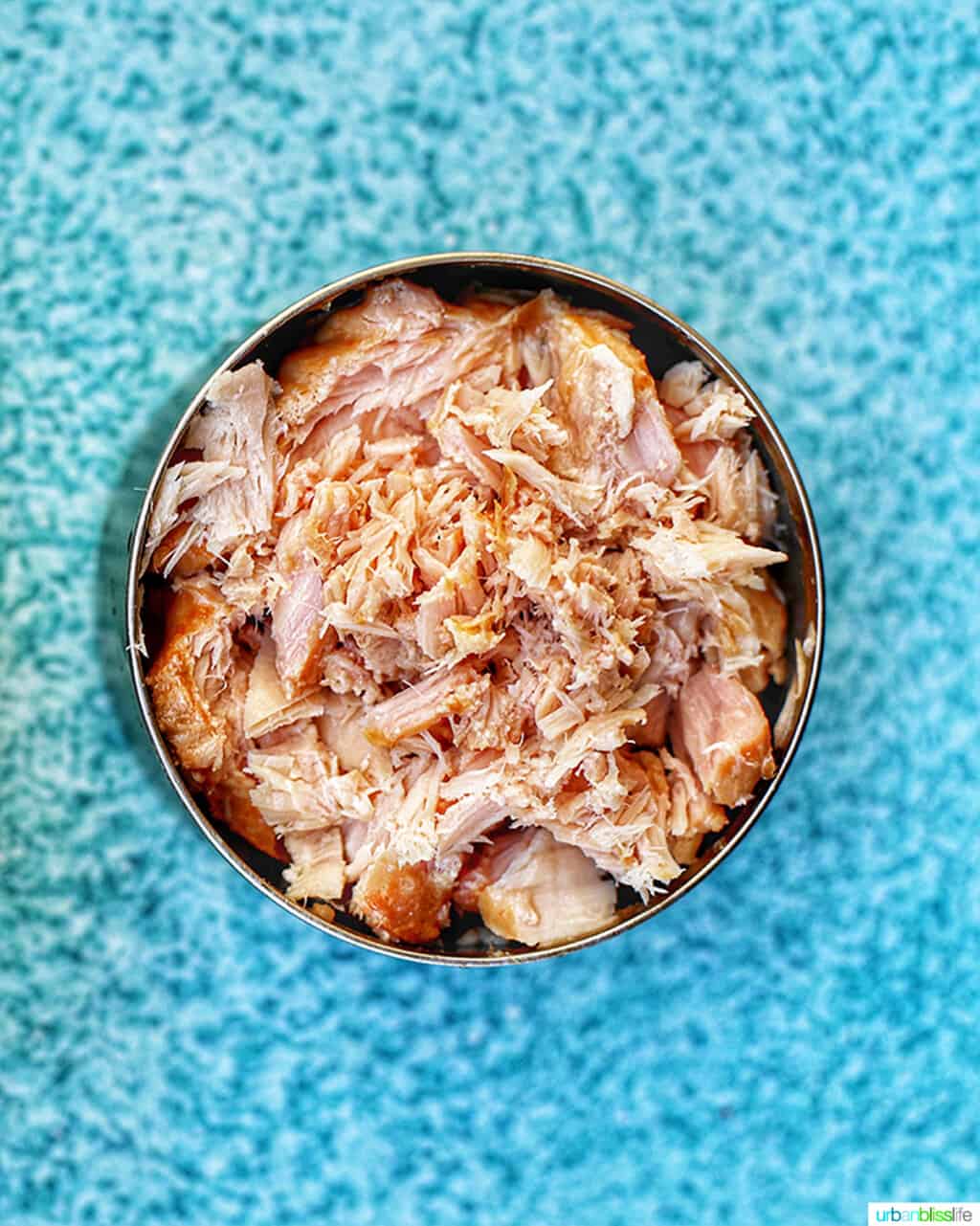 canned albacore tuna on blue background
