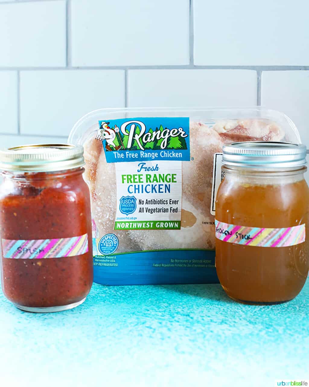 3 ingredients for Instant Pot Salsa Chicken