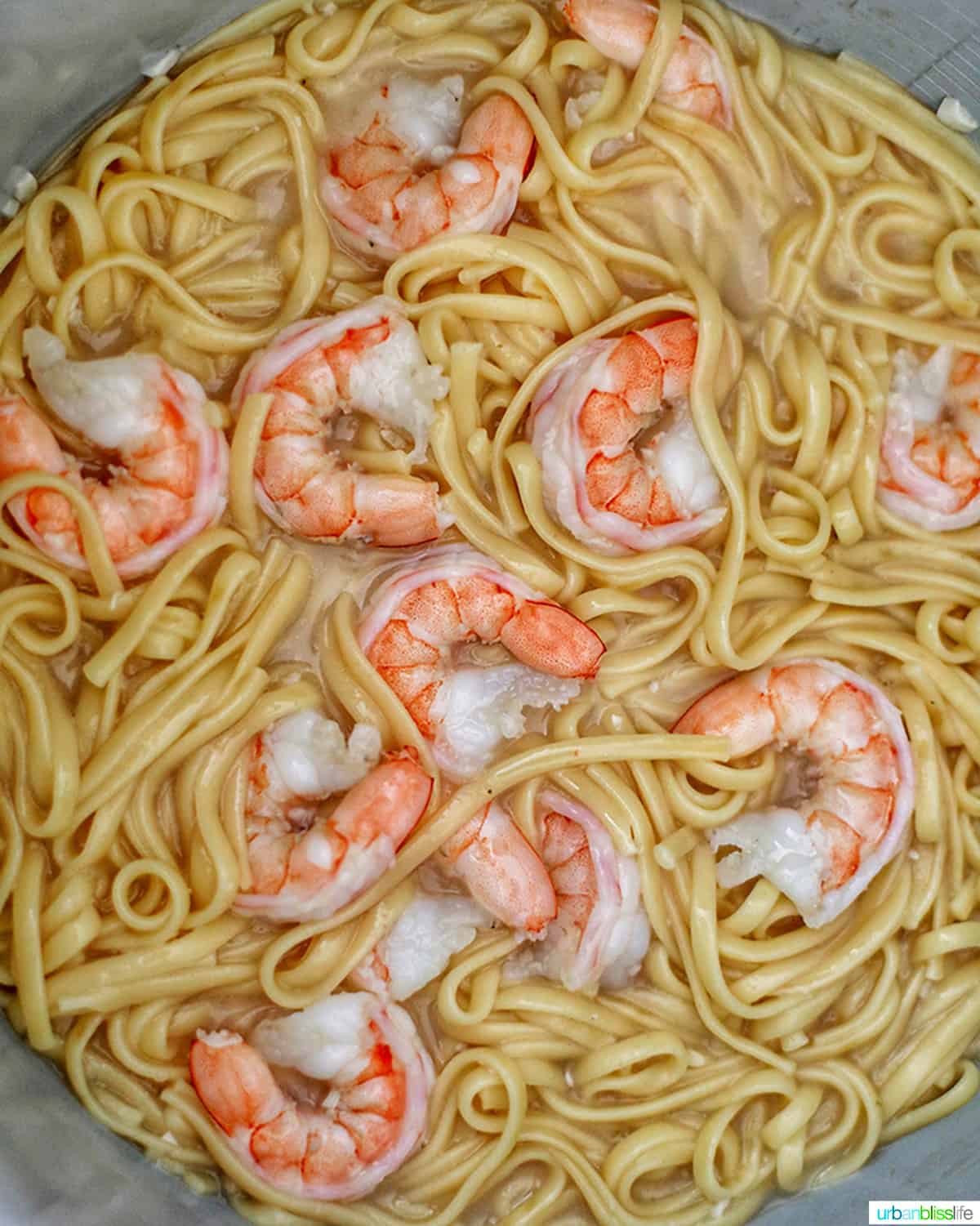 cooking Shrimp Scampi Linguini in the Ninja Foodi