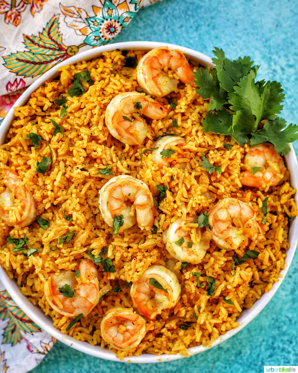 shrimp biryani