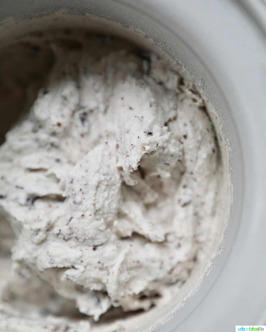 making dairy-free chocolate chip ice cream