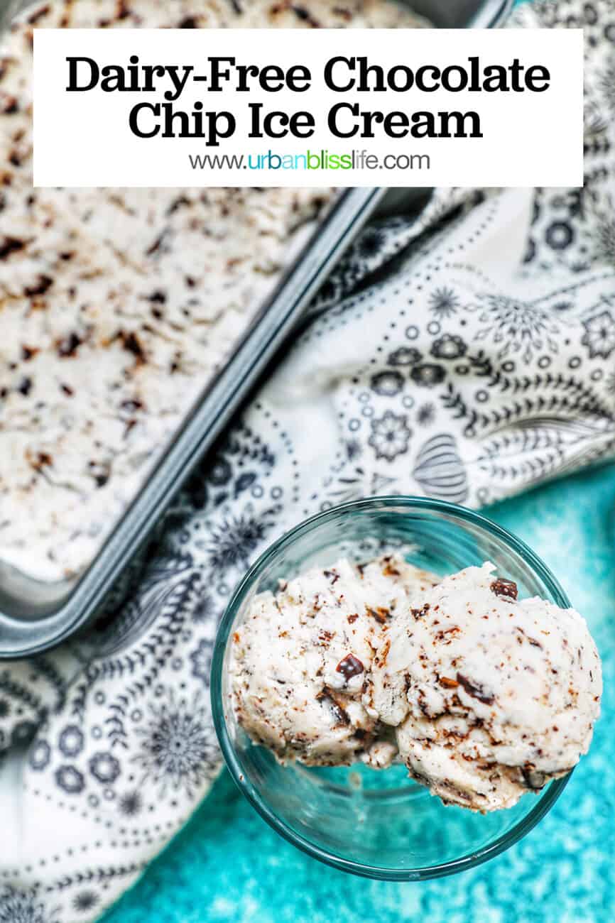dairy-free chocolate chip ice cream with text