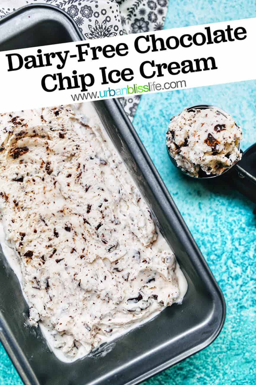 dairy-free chocolate chip ice cream with text